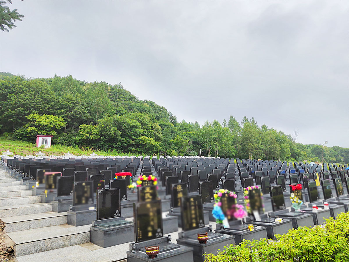 哈尔滨元宝山陵园电话，元宝山陵园距离市区有多远？