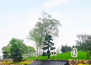 青山墓园