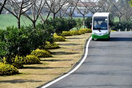 园区道路