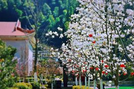 园区风景