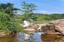 陵园湖泊