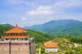 陵园风景