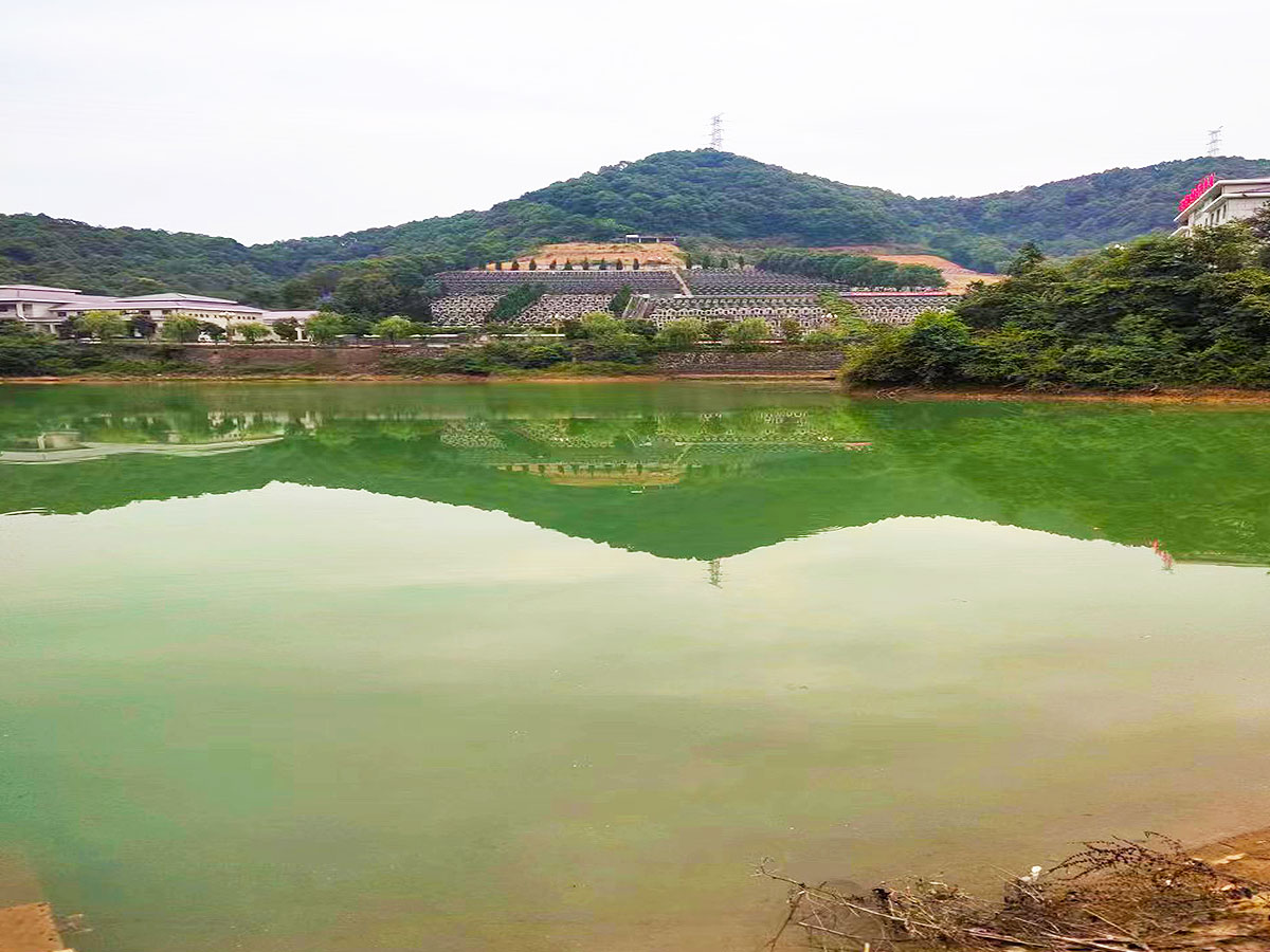 陵园湖泊