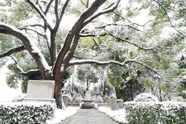 冬日雪景